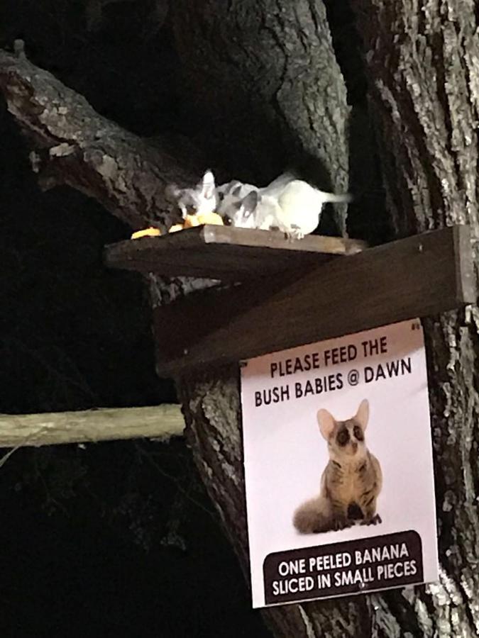 Kruger Wild Dog Inn マールロス・パーク エクステリア 写真